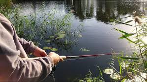 Image result for Hull & District Anglers' Association