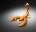 Do You Know What You Eat? Greenpeace's Ads Against Genetically ...
