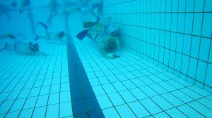 Image result for Glasgow Octopush Club