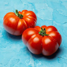 Afbeeldingsresultaat voor brandywine cherry tomato