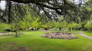 Image result for Radnorshire Indoor Bowling Association