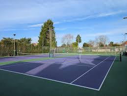 Image result for Banstead Downs Lawn Tennis Club