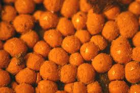 Attēlu rezultāti vaicājumam “Trichia scabra spores”