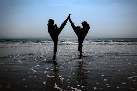 Image result for Devines Martial Arts