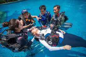 Image result for Splash Divers Sub Sub Aqua Club