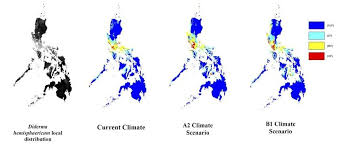 Attēlu rezultāti vaicājumam “Diderma hemisphaericum plasmodium”