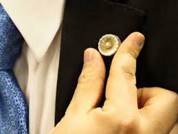 Image result for 弁護士バッジ