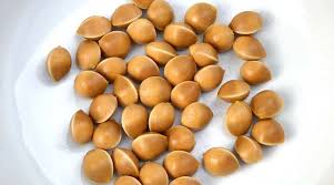 Attēlu rezultāti vaicājumam “Ginkgo biloba fruit”