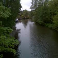 Image result for Weybridge Angling