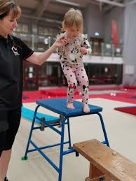 Image result for Holbeach and Fenland Gymnastics Club