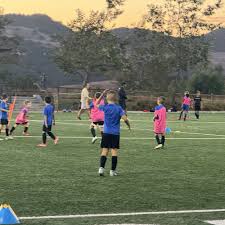 Image result for Butts Ash Badminton Club