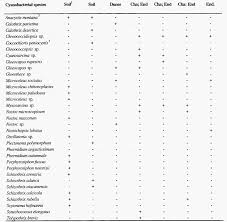 Attēlu rezultāti vaicājumam “Gloeocapsa rupestris”