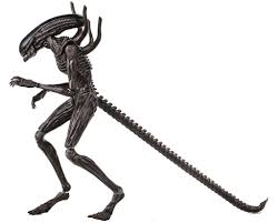 Image result for xenomorph