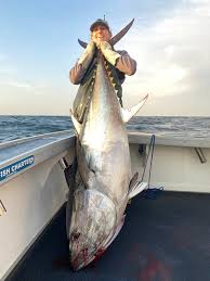 Image result for giant tuna