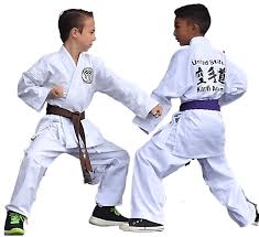 Image result for United Dojos Kickboxing