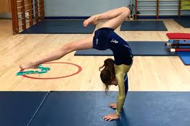 Image result for Sponte Sua Gym