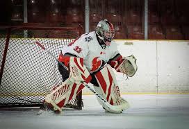 Image result for Basingstoke Buffalo