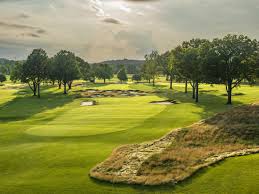 Image result for Shepherdswell Cricket Club