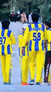 Image result for Ukc Falcons