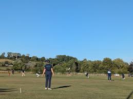 Image result for Buckhorn Weston Cricket Club