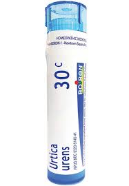 Attēlu rezultāti vaicājumam “Urtica urens”