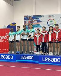 Image result for Lessa Em Badminton Club