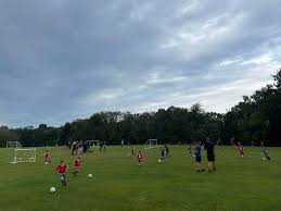 Image result for Chiddingfold Youth Fc
