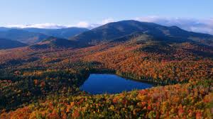 Image result for $$fall_akte__ort$$