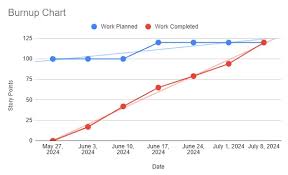 Image result for burnup chart