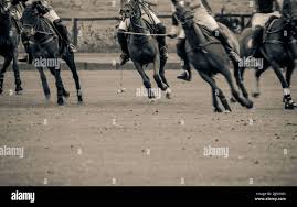Image result for Kirtlington Park Polo Club