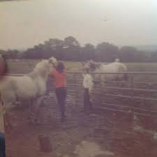 Image result for Old Park Riding Stables
