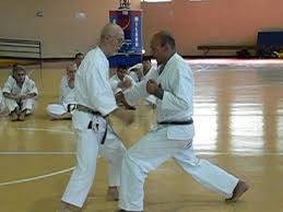 Image result for Su-Ha-Ri-Wado Karate School
