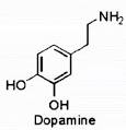 How a single neurotransmitter can provide the basis for the ...