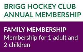 Image result for Brigg Hockey Club