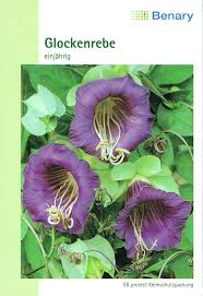 Image result for Glockenrebe