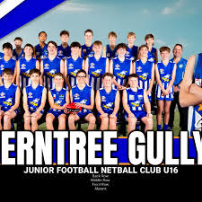 Image result for Eagles Netball Club