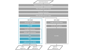 Image result for Rayleigh Sac