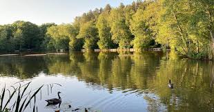 Image result for Penketh & Old Hall Angling Society