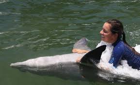 Image result for Discover Swimming