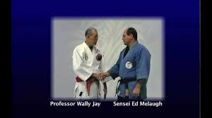 Image result for Komaru Ryu Small Circle Jujitsu/Karate