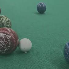 Image result for Dolphin Indoor Bowls Club