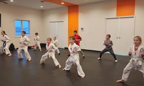 Image result for Okami Karate & Fitness Schools