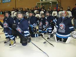 Image result for Dover Pirates