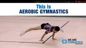 Image result for Aero Gymnastics Club