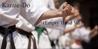 Image result for United Dojos Kickboxing