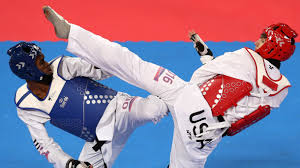 Image result for Taekwondo Athletes Program USA