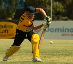 Image result for Messingham Cricket Club