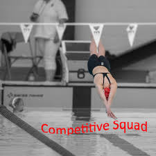 Image result for Frome Swimming Club