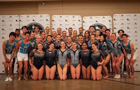 Image result for Jayenell Gymnastics Club
