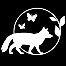 Attēlu rezultāti vaicājumam “Licea testudinacea”